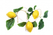 Ветка муляжей "Лимоны"