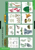 Комплект таблиц "Растения и окружающая среда" (7 шт.)