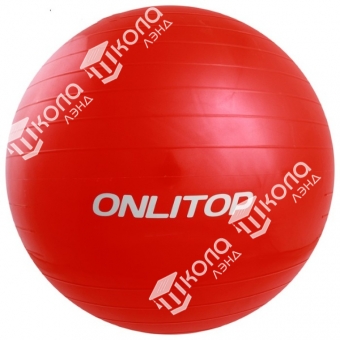 Мяч гимнастический d=55 см, 650 г, цвета МИКС